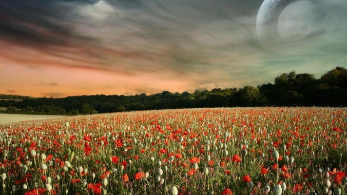 大海捞针还捞着了是一种什么样的体验？